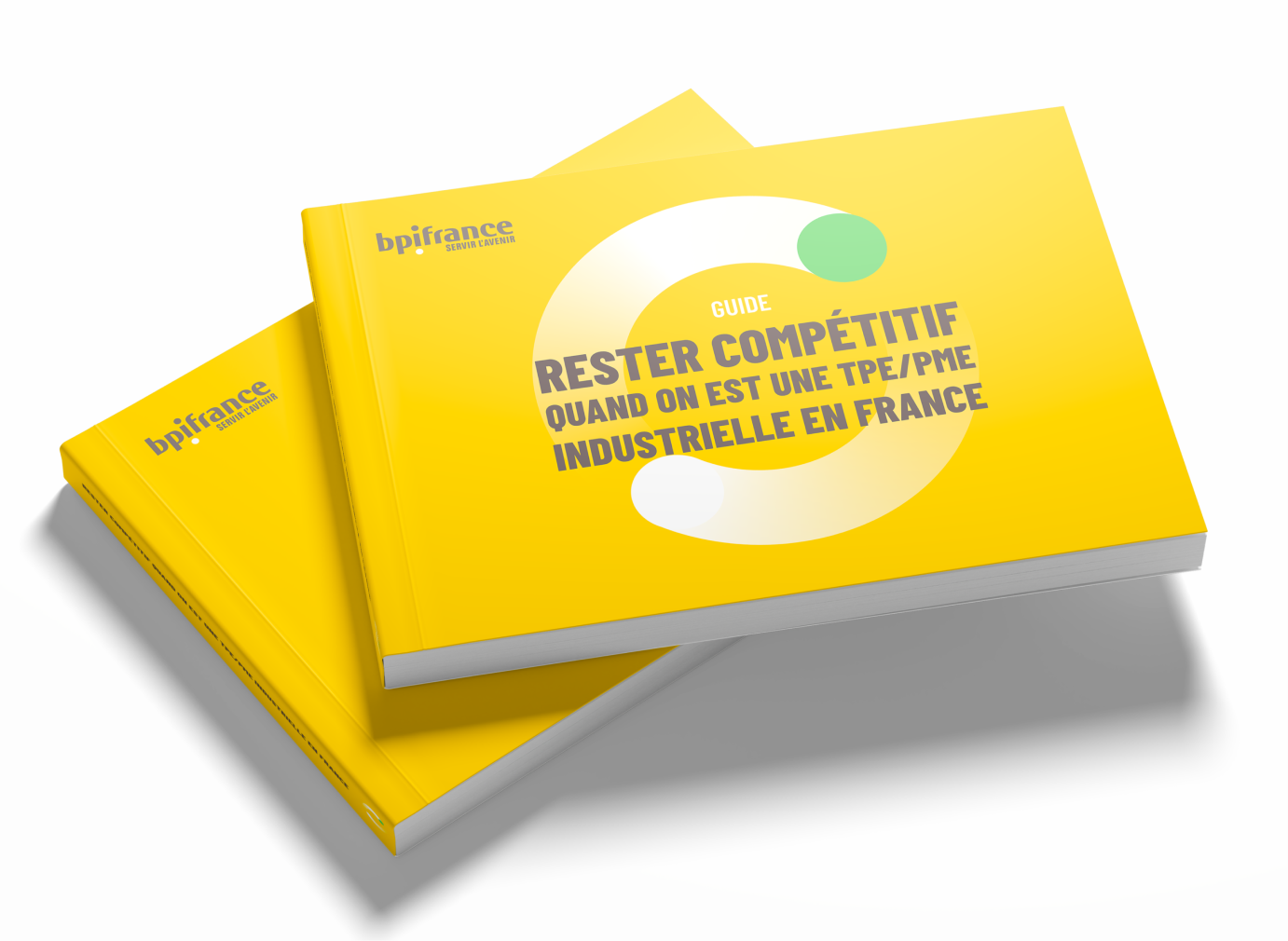 E-Book Industrie_Mockup_Landing_Page.png