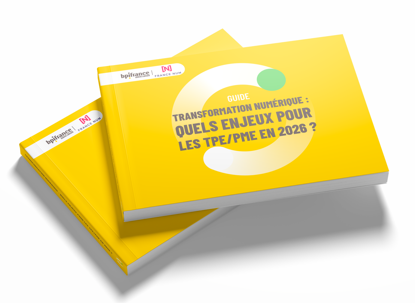 E-book Transformation numérique_Mockup_Landing_Page (3).png